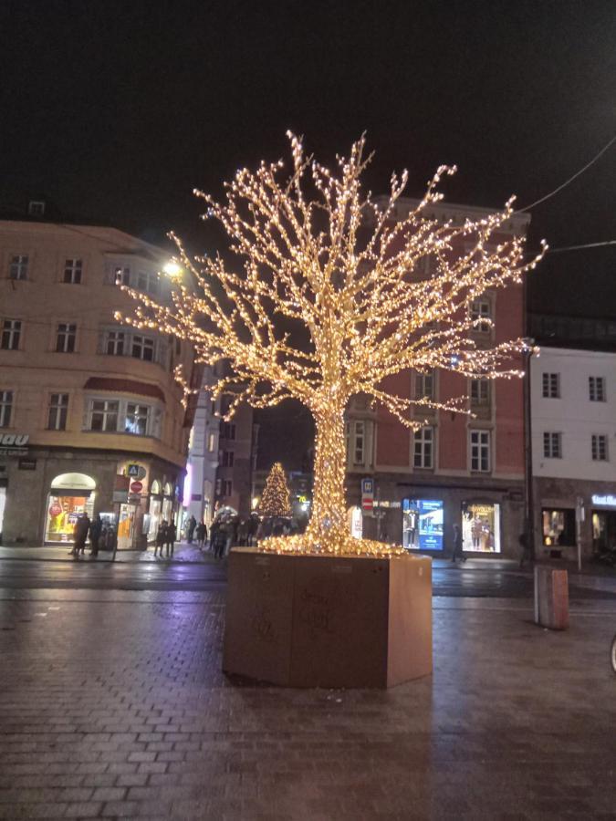 Apartment Serlesblick Ellbögen Zewnętrze zdjęcie